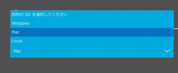 OSの選択