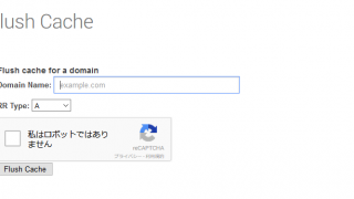 GoogleのPublic DNSのFlush Cache が上手くいかないときの対処法