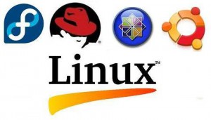linux_logo-300x171 Linuxを実働環境で勉強する方法